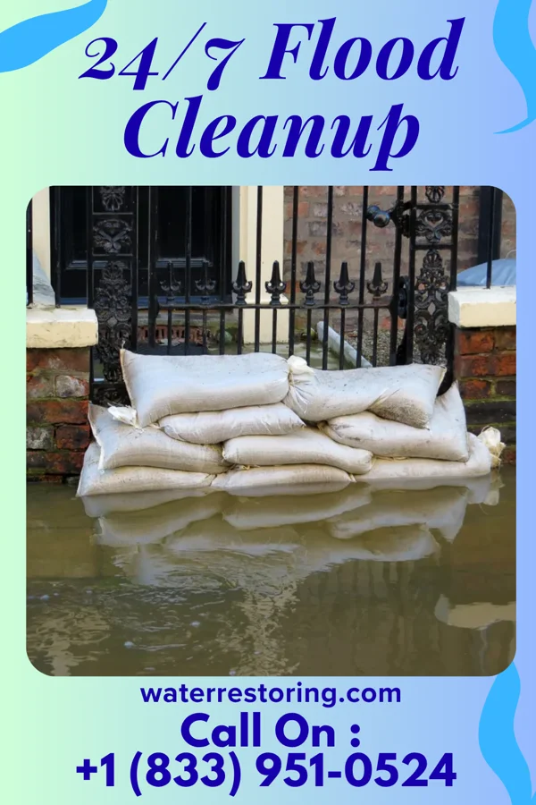 24/7 Flood Cleanup in Advance, MO