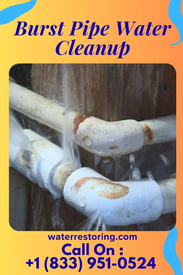 Burst Pipe Water Cleanup in Advance, MO