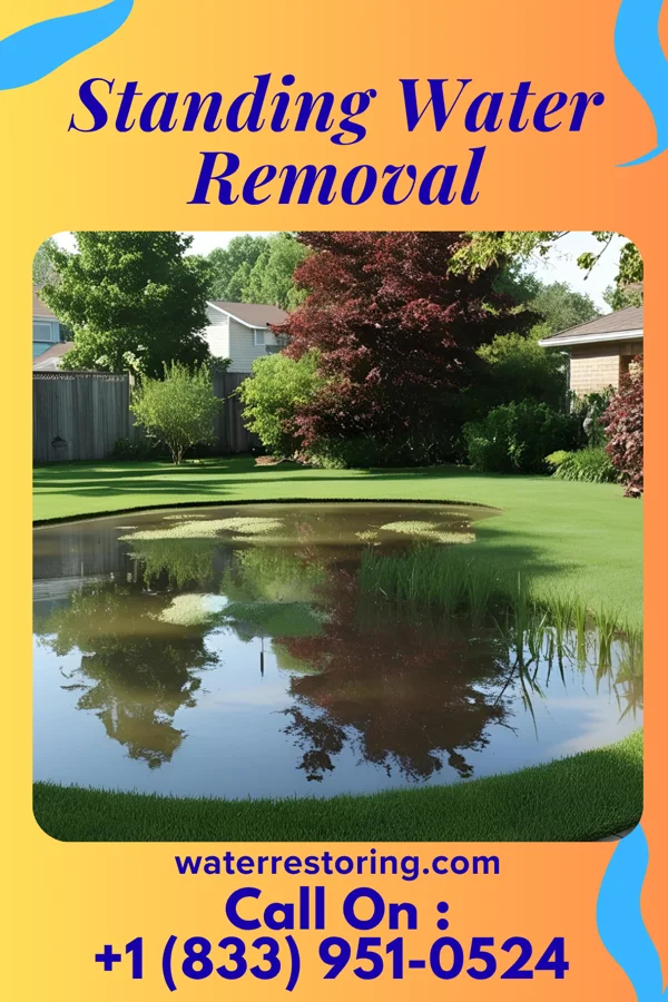 Standing Water Removal in Advance, MO
